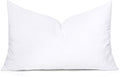 MIULEE 13x21 Inch Throw Pillow Insert by MIULEE