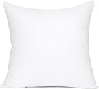 MIULEE 28x28 Euro Pillow Insert, Throw Pillow by MIULEE