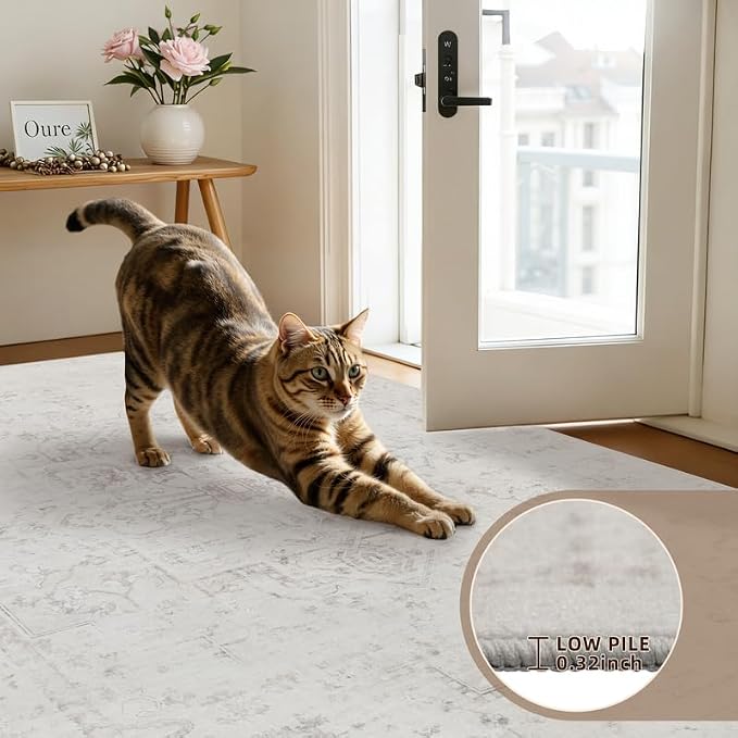 5x7 Area Rugs Living Room: Bedroom Washable Carpet Neutral Cream | Large - Image 7