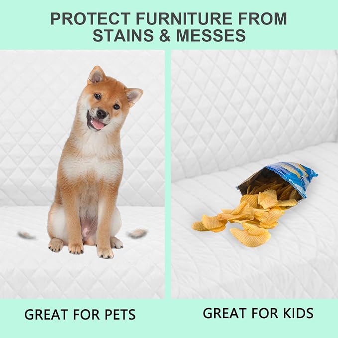 Reversible Loveseat Couch Sofa Covers, Friendly Furniture Protector - Image 5