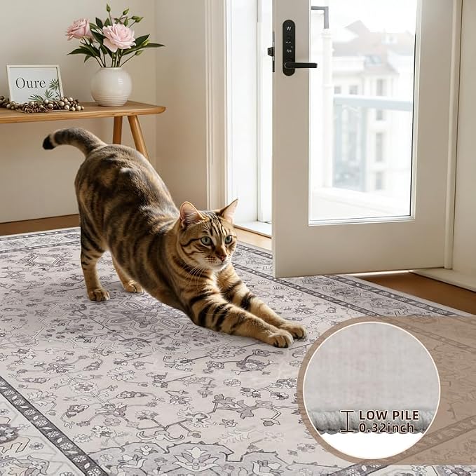 Area Rugs 9x12 Living Room: Bedroom Washable Carpet Beige & Grey | Large - Image 9