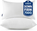 MIULEE 20x26 Throw Pillows Inserts 2 Pack, Decorative Pillows by MIULEE