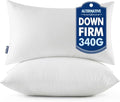 MIULEE 12x24 Throw Pillows Inserts 2 Pack, Decorative Pillows by MIULEE