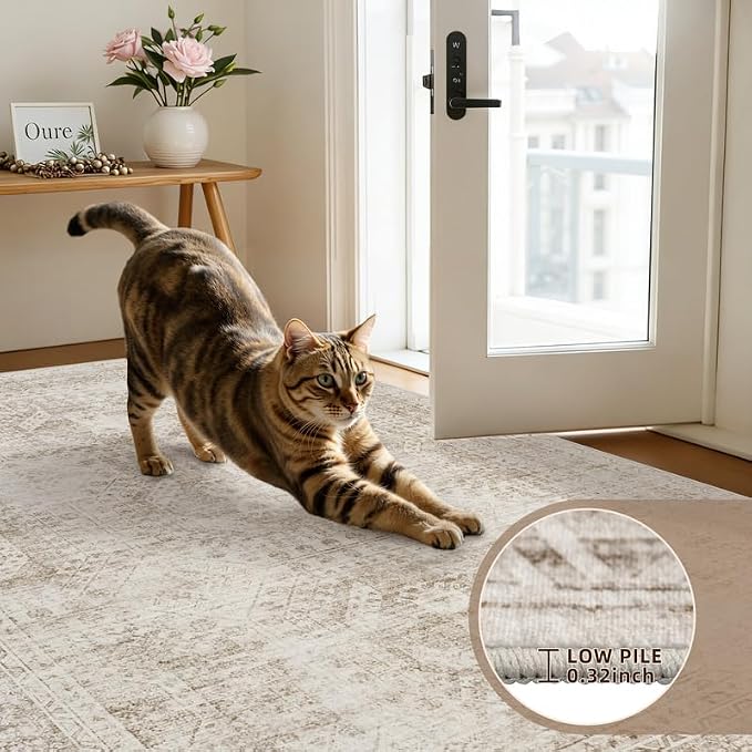 Round Area Rug Living Room: 8ft Neutral Washable Carpet Rug Brown | Vintage - Image 6
