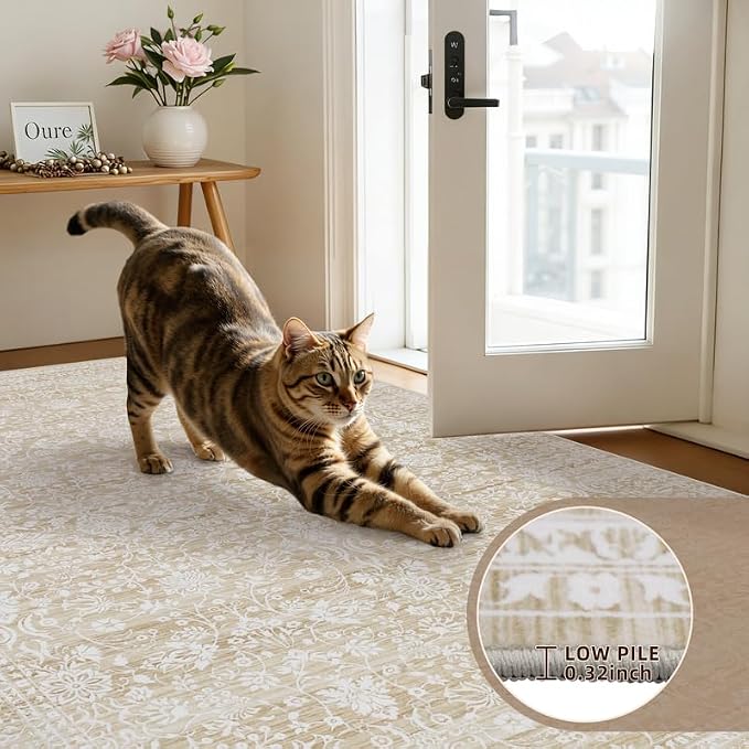 8x10 Area Rugs Living Room: Bedroom Washable Carpet Natural Beige | Large - Image 9