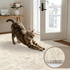 Round Area Rug Living Room: 6ft Washable Carpet Beige/Brown | Vintage Boho - Image 6