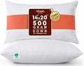 Utopia Bedding 14x20 Pillow Inserts, 2 Pack | Indoor cushion inserts by UTOPIABEDDING