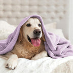 BEDELITE Fleece Blanket Soft Plush Throw - Image 7
