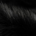 SERISSA 3x5 Fluffy Black Faux Fur Area Rug - Image 5