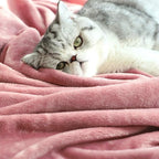 TASTHROW Large Flannel Fleece Throw Blanket, 50×70 Inch - Image 8