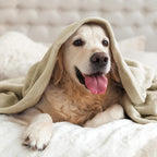 BEDELITE Fleece Blanket Soft Plush Throw - Image 8