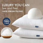 MIULEE 22x22 Throw Pillows Inserts 2 Pack, Decorative Pillows - Image 4