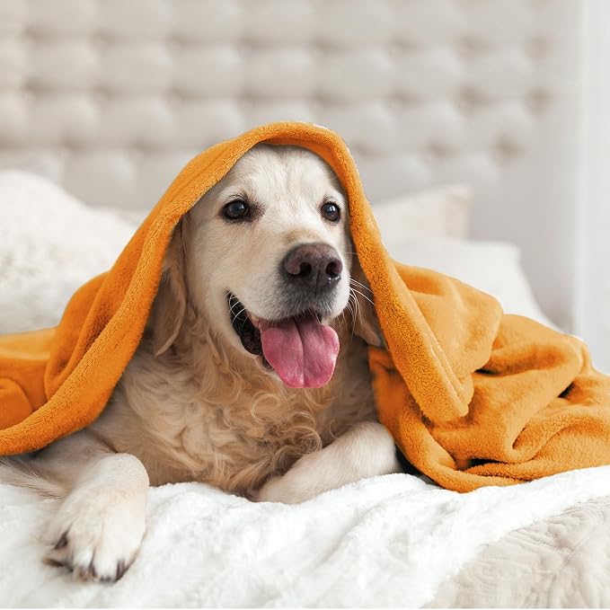 BEDELITE Fleece Blanket Soft Fall Twin Size Blanket Burnt Orange 60"x80" | - Image 7