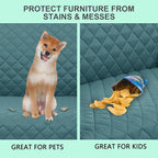 Reversible Loveseat Couch Sofa Covers, Friendly Furniture Protector - Image 5
