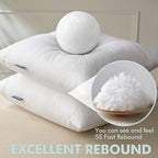 MIULEE Pillow Insert 22x22 Inch Set of 2, Decorative Throw Pillow Inserts | - Image 3