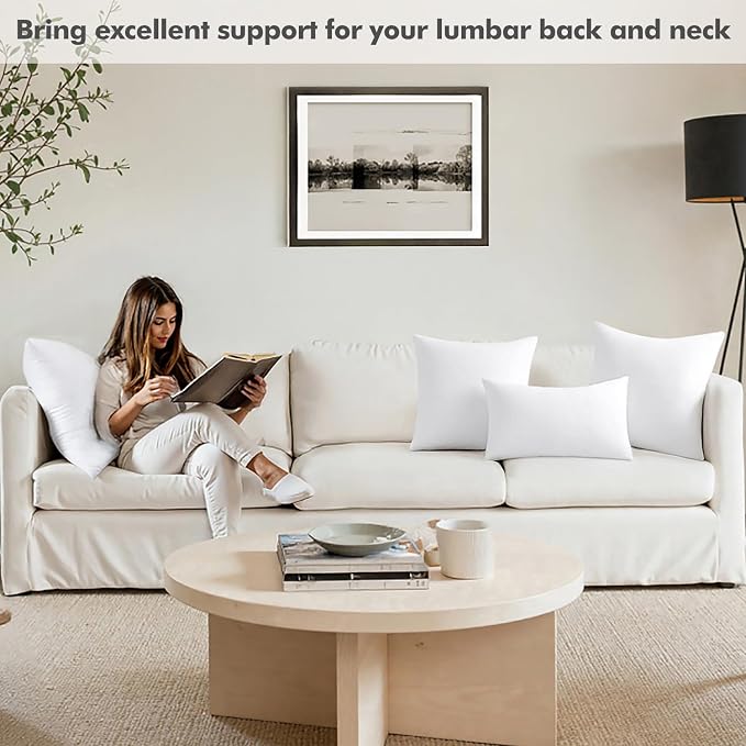 MIULEE 22x22 Pillow Insert, Premium Throw Pillow - Image 4