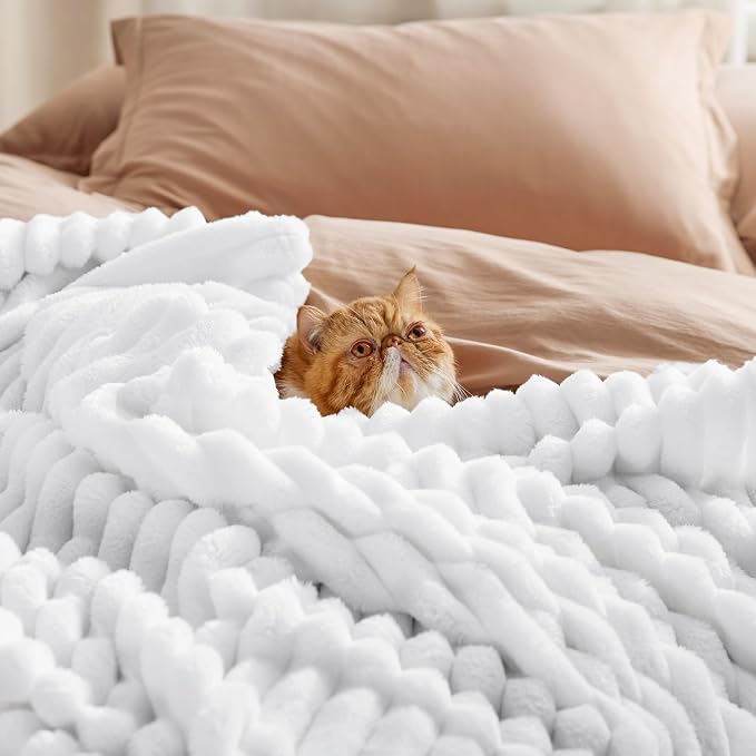 Bedsure Soft Queen Size Blanket - Image 5