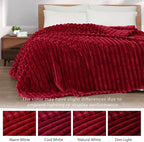 Exclusivo Mezcla Striped Twin Size Fleece Blanket - Image 3