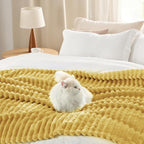 Bedsure Soft Queen Size Blanket - Image 5