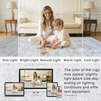 Area Rugs 9x12 Living Room: Bedroom Neutral Washable Carpet Gray | Vintage Boho - Image 5