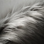SERISSA 4x6 Fluffy Grey Faux Fur Area Rug - Image 5