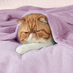 Bedsure GentleSoft Fleece Throw Blanket - Image 2
