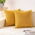Aegero Pack of 2 Corduroy Decorative Throw Pillow Covers 22x22 Inch by Unknown