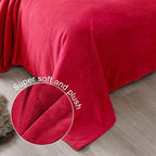 Exclusivo Mezcla Soft Fleece Blanket Twin Size - Image 6