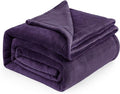 Bedsure GentleSoft Fleece Blankets Queen Size Purple by Unknown