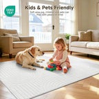 Pauwer 9x12 Area Rugs for Living Room, Modern Non Slip Washable Rug, Soft Fluffy - Image 7