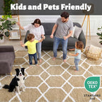 Area Rugs for Living Room, 5x8 Fluffy Beige and White Bedroom Geometric Rug | - Image 3