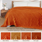 Exclusivo Mezcla Striped California King Size Fleece Blanket - Image 3