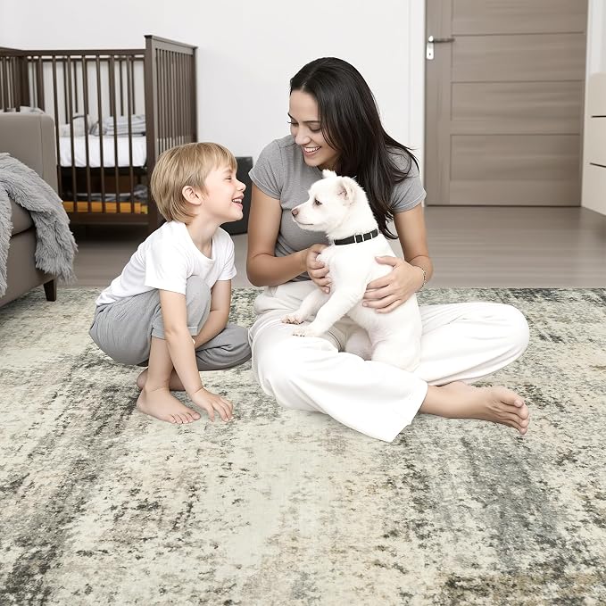 Area Rug Living Room: 3x5 Modern Washable Soft Carpet Ash Brown | - Image 7