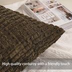Aegero Pack of 2 Corduroy Decorative Throw Pillow Covers 18x18 Inch - Image 2