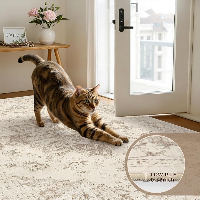 4x6 Area Rugs Living Room: Bedroom Washable Carpet Beige/Ivory | Vintage Boho - Image 7