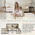 6x9 Area Rugs Living Room: Bedroom Washable Carpet Beige White | Vintage Boho - Image 5