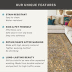 Washable 9x12 Living Room Rug - Image 7