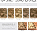 SAFAVIEH Lyndhurst Collection Area Rug - Image 6
