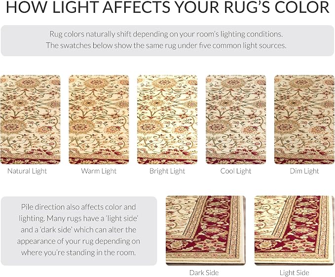 SAFAVIEH Lyndhurst Collection X-Large Area Rug - Image 9