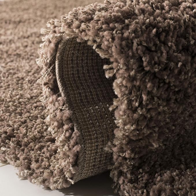 SAFAVIEH Area Rug 4x6 - Image 9