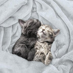 Utopia Bedding Soft Fleece Bed Blanket Queen Size Light Grey | Microfiber Plush - Image 4