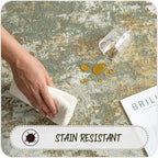Green Washable Rug 5x7 Area Rugs - Image 7