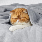 Bedsure GentleSoft Fleece Throw Blanket - Image 2