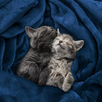 Utopia Bedding Ultra Soft Fleece Bed Blanket King Size Navy | Microfiber Plush - Image 4