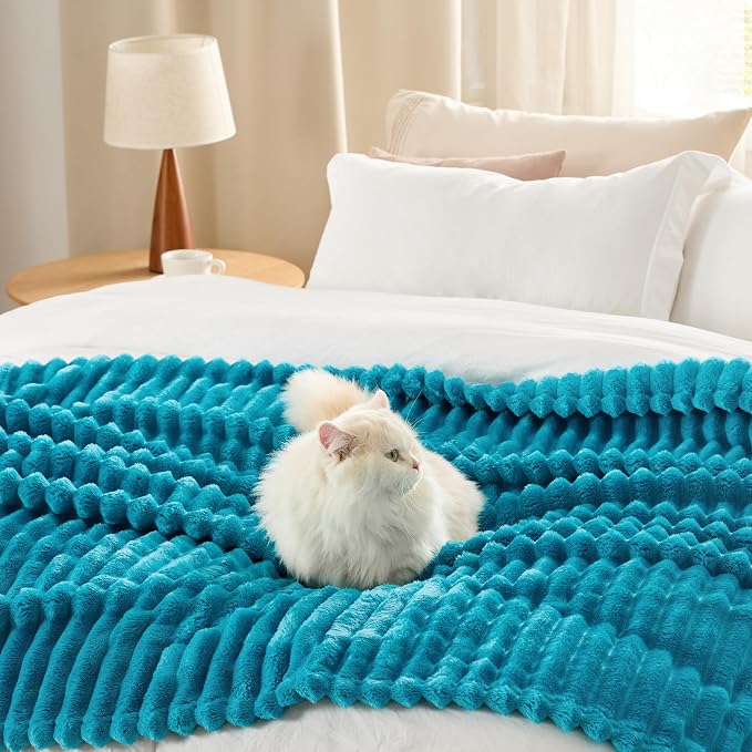 Bedsure Soft Queen Size Blanket - Image 5