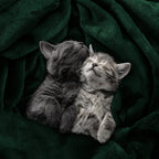 Utopia Bedding Soft Fleece Bed Blanket Queen Size Forest Green | Microfiber - Image 4