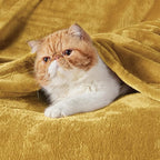 Bedsure GentleSoft Fleece Throw XL Blanket Yellow - Image 2