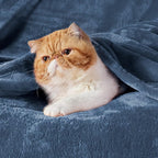 Bedsure GentleSoft Fleece Throw Blanket Blue - Image 2