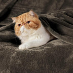 Bedsure GentleSoft Fleece Throw XL Blanket Brown - Image 2