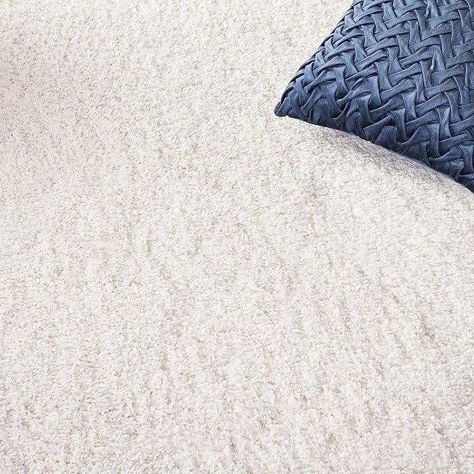 SAFAVIEH Area Rug 8x10 - Image 6